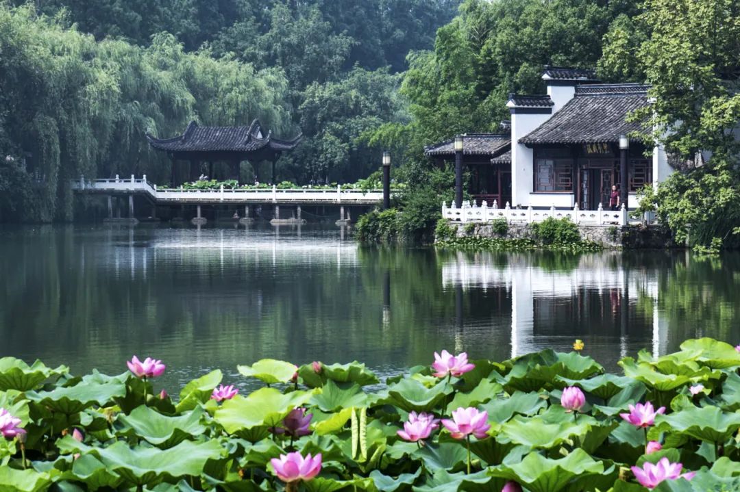 时光文旅|重磅文旅慢综《共赴一程好时光》首站启程！锁定滨湖时光集团包公园！
