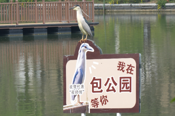 时光文旅 | 包公园“夜师傅”火出圈！